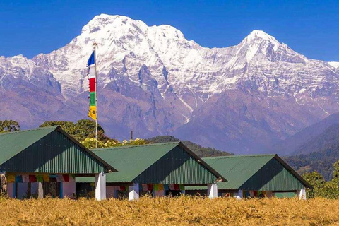 Eenvoudige trektocht naar Australisch basiskamp