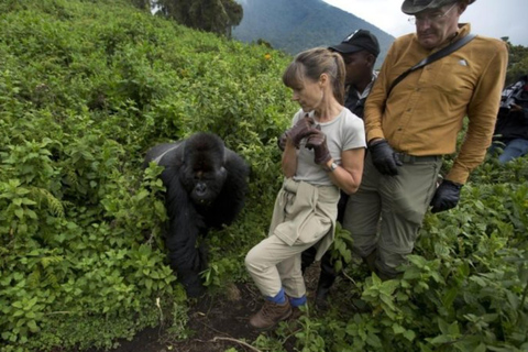 4-dniowy trekking z gorylami w Rwandzie, jezioro Kivu i safari w jaskini.