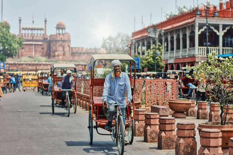 Delhi: excursão aos templos com carro e guia de turismo particularDélhi: excursão particular aos templos e locais espirituais de Délhi