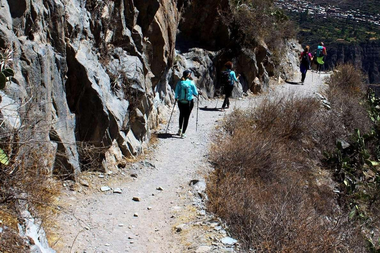 Trekking dans le Canyon de Colca de 2 jours et 1 nuit