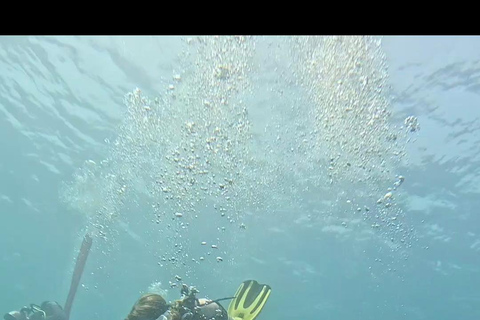 Scuba Diving in Muscat
