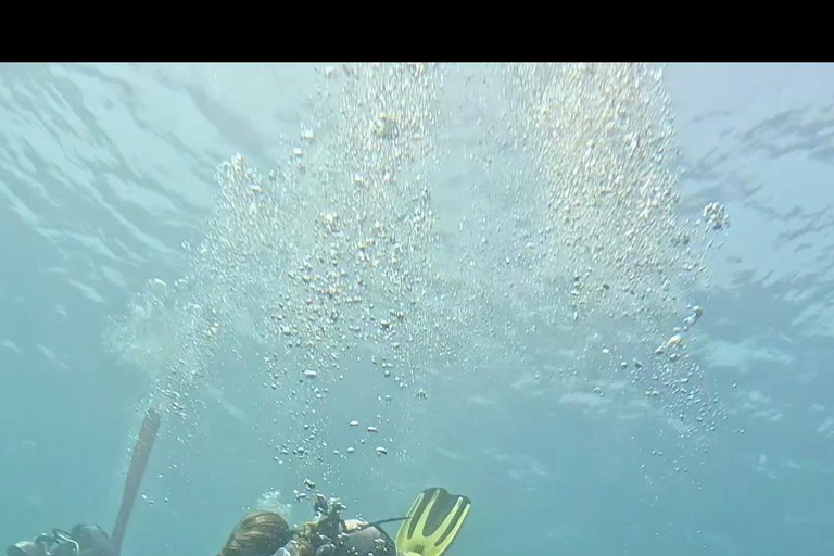 Scuba Diving in Muscat