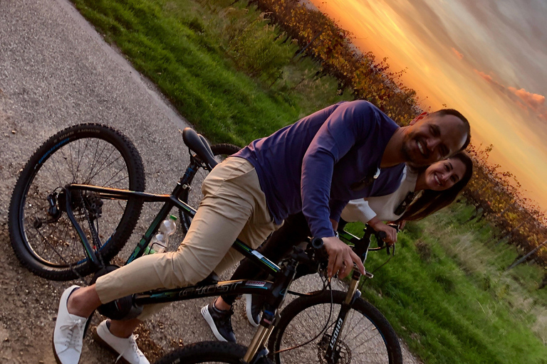 Baden-Baden: Private e-Mountainbike Tour with local Guide