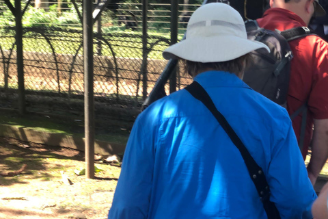 Kampala/Entebbe: Ngamba Island Chimps Sanctuary Tour