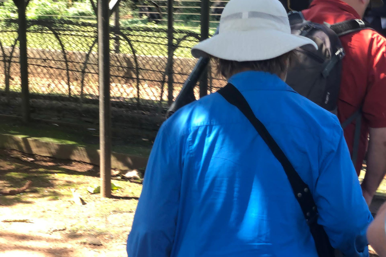 Kampala/Entebbe: Ngamba Island Chimps Sanctuary Tour