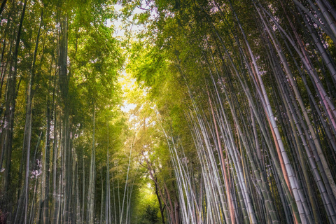 Kyoto: Private Luxury Tour With Vehicle (Customizable)