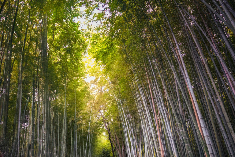 Kyoto: Private Luxury Tour With Vehicle (Customizable)