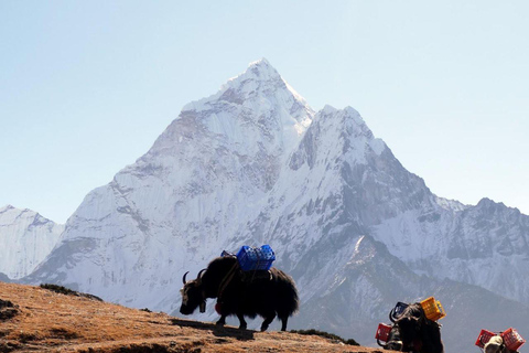 13 Days Everest Base Camp Trek