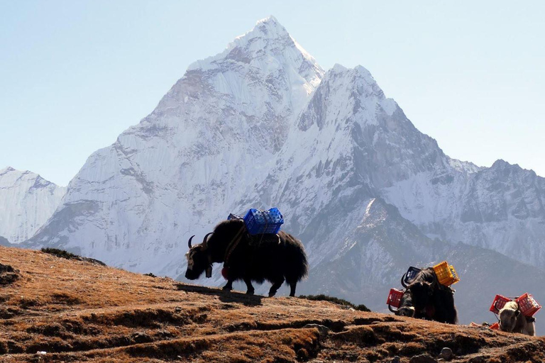 13 Days Everest Base Camp Trek