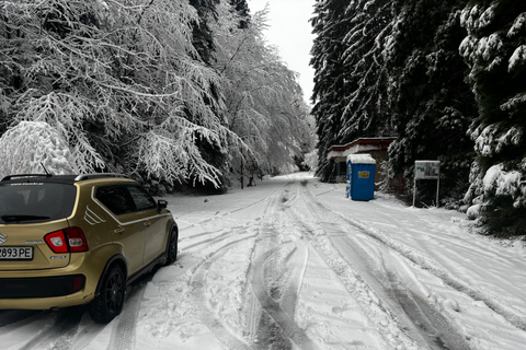 Small Group: Sofia to Kyustendil Fortress & Sequoia Park