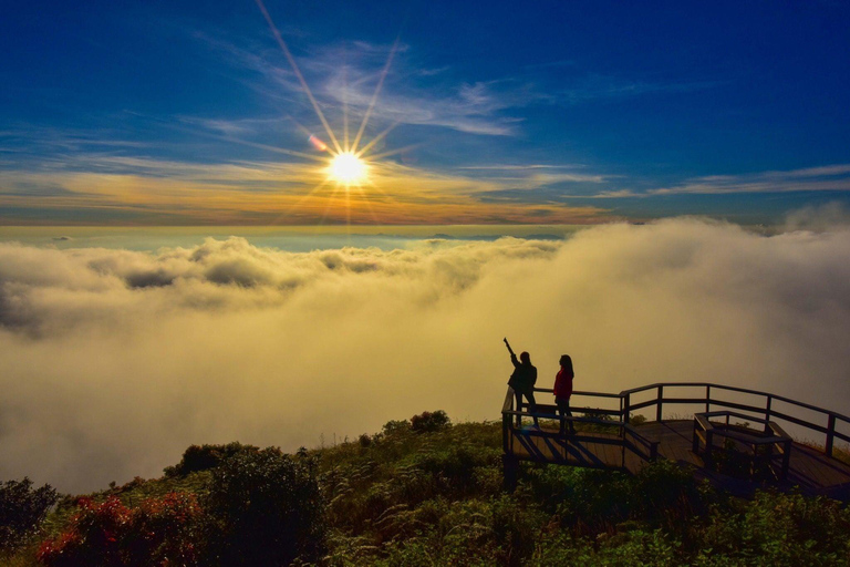 Doi Inthanon Nationaal Park &amp; Wandelen Kew Mae Pan Natuurpad