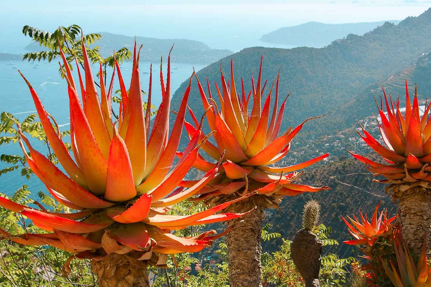 니스 출발: 에즈, 모나코, 몬테카를로 반일 투어