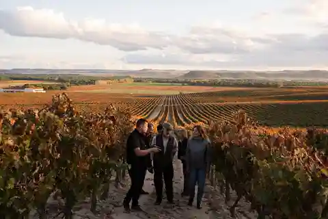 Ribera del Duero: Experiencia, viñedo y monte 4x4, aperitivo y cata.