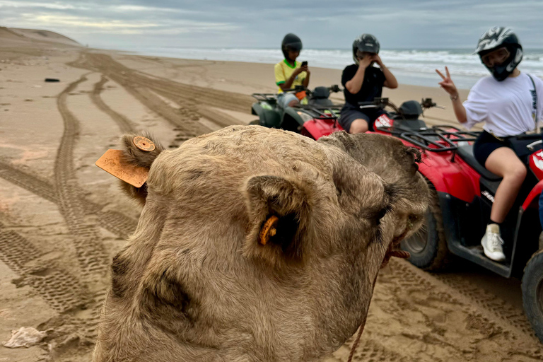 Agadir: Quad Bike and Camel Ride Desert & Beach Tour