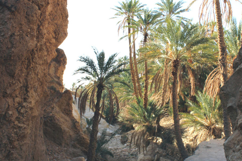 Vanuit Djerba: 2Daagse tour naar Tozeur, de bergoase matmata