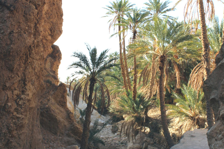 Desde Yerba: Excursión de 2 días a Tozeur, la matmata de los Oasis de Montaña