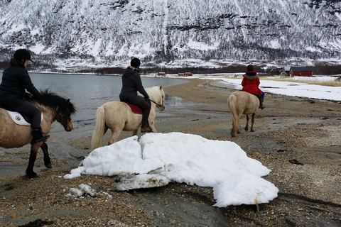 Tromsø: Experiência de cavalgada em Lyngen