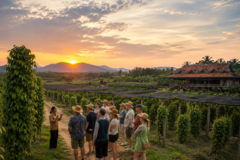 Kampot: Pepper Plantation Tour with Sunset Experience