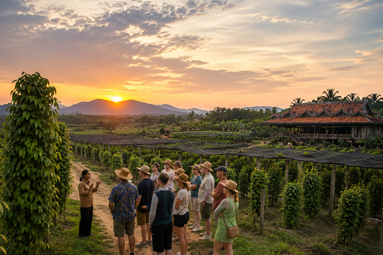 Kampot: Pepper Plantation Tour with Sunset Experience
