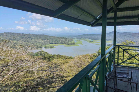 Panama : Buffet, tramway aérien, excursion en bateau à Gatun, sanctuaire des paresseuxPanama : Tram aérien, tour en bateau à Gatun et sanctuaire des paresseux