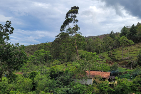 CAMINHO DO OURO - Geführte Tour durch den Atlantischen Wald, Wasserfälle und Geschichten.