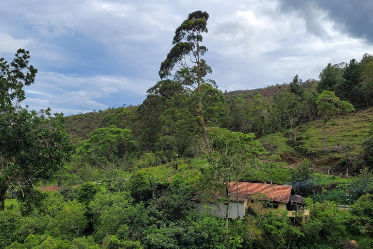 CAMINHO DO OURO - Guided tour Atlantic Forest, Waterfalls, Stories.