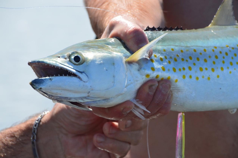 Playa Mantas: Beach Fishing Tour Beach Fishing Tour at Playa Mantas