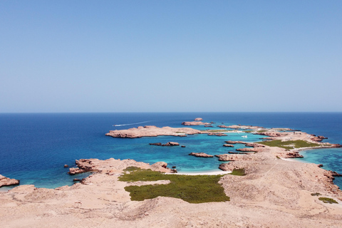 Muscat: Daymaniyat Island Scuba Dive 2 locations + BBQ Lunch