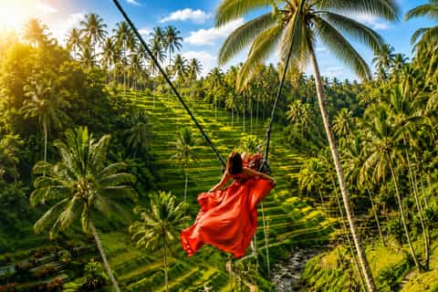 Bali Swing, Waterfalls and Tegalalang Rice Terrace Tour - Image 3