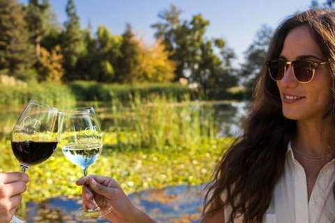 Concha y Toro Vineyard Premium Tour w/transportation