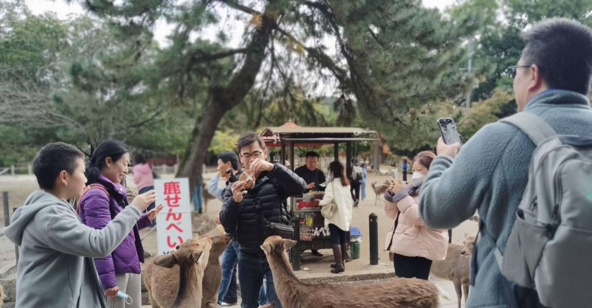 From Osaka/Kyoto: Arashiyama, Nara Park & Fushimi Inari Tour photo 5