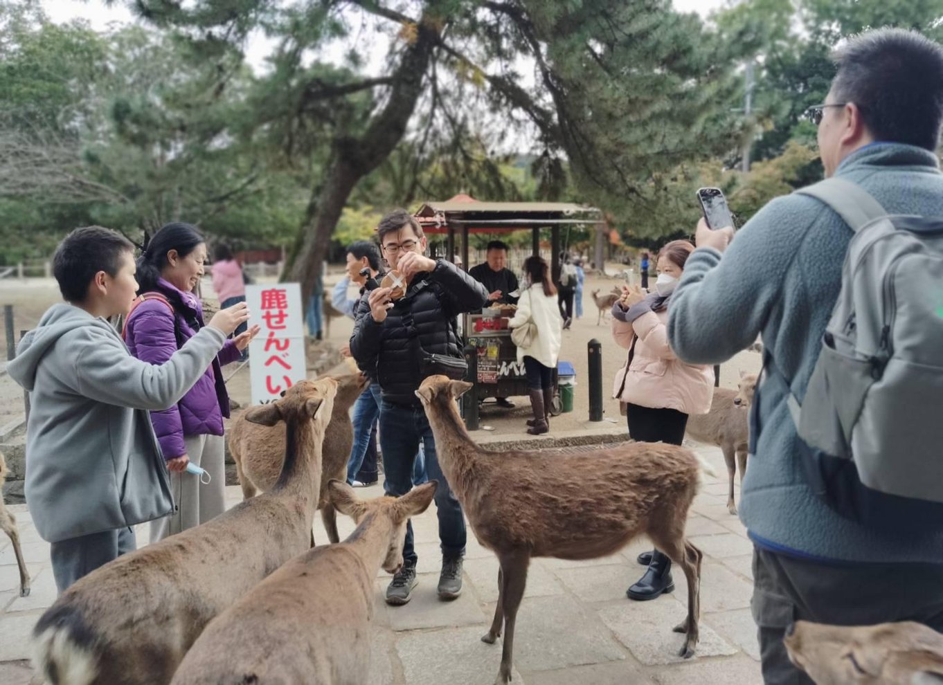 Fra Osaka/Kyoto: Kyoto og Nara 1-dags guidet tur