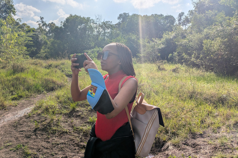 Karura Forest walking tour with nature and waterfalls.