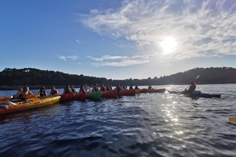 Dubrovnik : sortie en kayak de mer avec en-casVisite de 2 h en journée