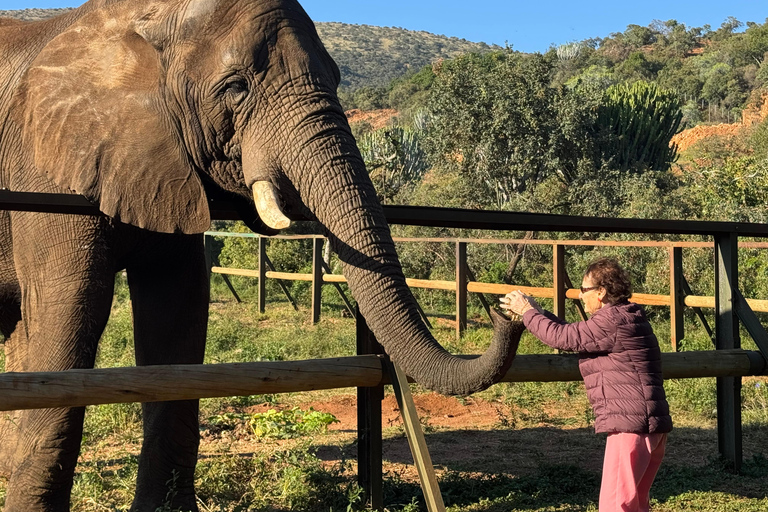 Vanuit Johannesburg: Dagtrip olifanten- en apenopvangcentrum