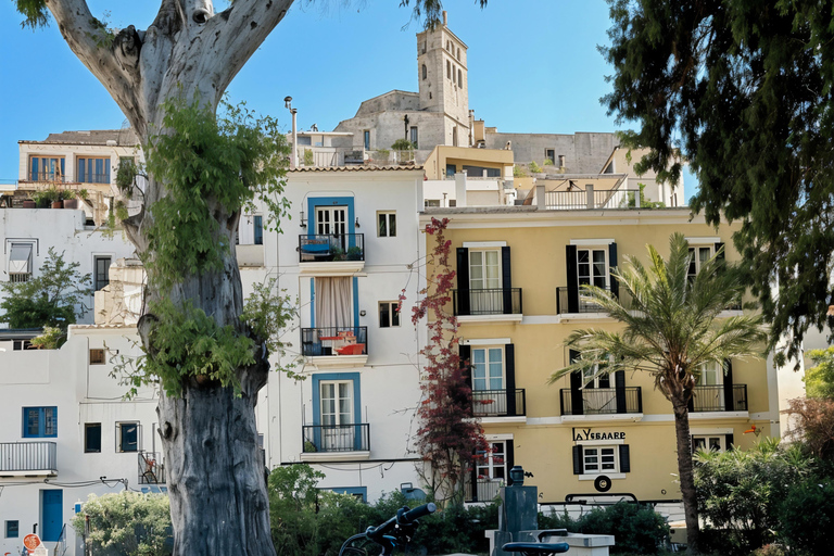 Ibiza: Elektrische rondleiding met fiets vanaf de Cruise Terminal