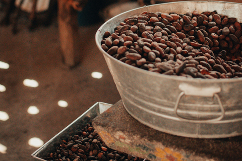 Puerto Maldonado: Amazonian Cacao Experience with Boat Ride