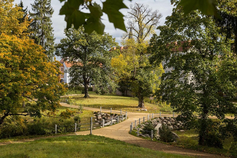 Frankfurt (Oder): Guided City Tours with Themed Specials Living Views: DDR Memories Tour with Actionbound App