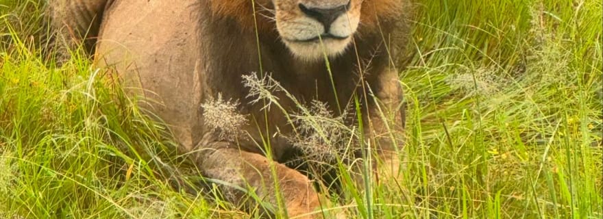 SAFARI FAUNE ET FLORE DE ZANZIBAR À MIKUMI 3 JOURS ET 2 NUITS