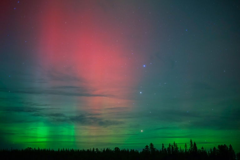 Rovaniemi: caça à aurora e uma experiência de churrasco à lareira