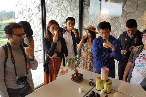 Chiang Rai: Guided Full-Day Highlights Tour with Thai Lunch Chiang Rai: Guided Full-Day Highlights Tour with Lunch