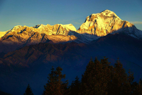Pokhara: 4-Day Ghorephani and Poon Hill Private Trek