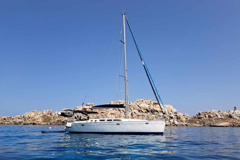 Sète: Sailing trip at sea on a sailboat Half-Day Sailing Experience