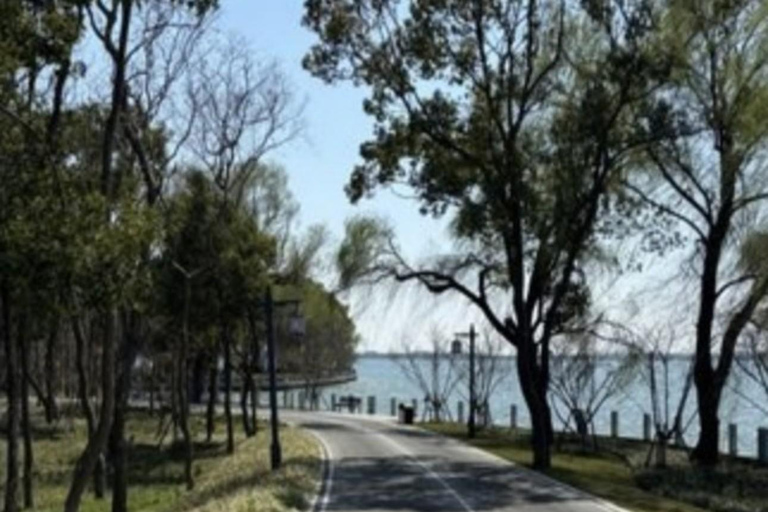 Shanghai: Zhujiajiao Water Town & Yuandang Lake Cycling Trip