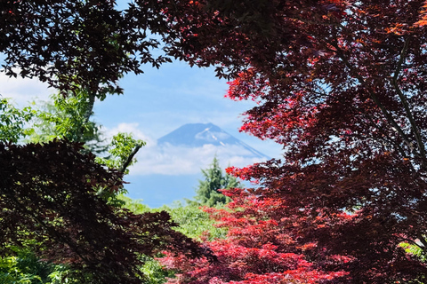 Mount Fuji Day Private Tour With English Speaking Driver