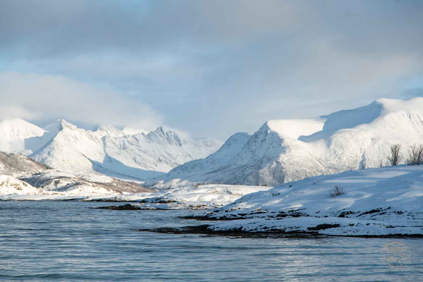 From Tromsø: Arctic Roadtrip Small Group 4x4 Van