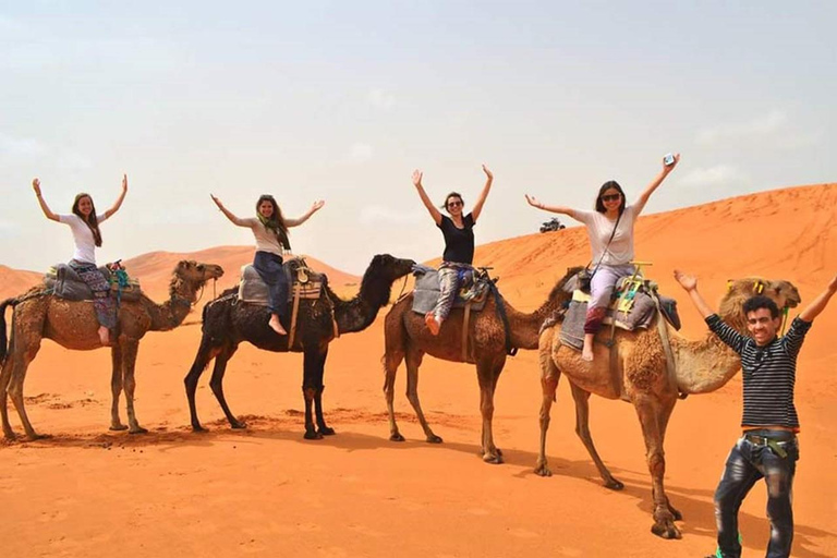 De Fes: excursão de dois dias ao deserto de Erg Chebbi para Marrakech ou FesRetorno a Fes