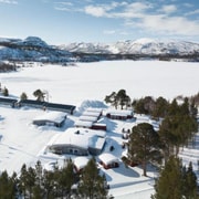 Ab Saariselkä: Königskrabben-Safari & Tour zu den Nordlichtern