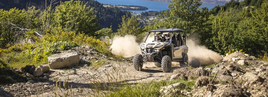 Queenstown : visite guidée en buggy autonome