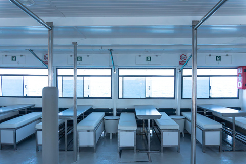 Ibiza: All-inclusive Formentera Full-Day Boat Trip with Beds